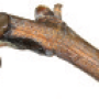 viti-bbch-00-01.png