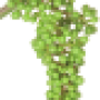 viti-bbch-75.png