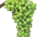 viti-bbch-77.png
