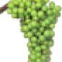 viti-bbch-77.png