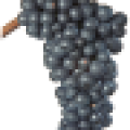 viti-bbch-89.png