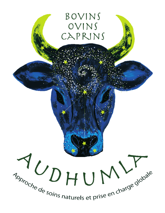 audhumla-min.png