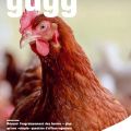 guegg202103.jpg