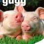 guegg202302.jpg