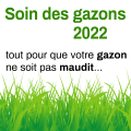 gaz.png